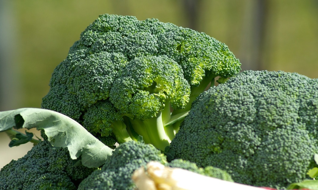 Jak długo gotować brokuły na parze?
