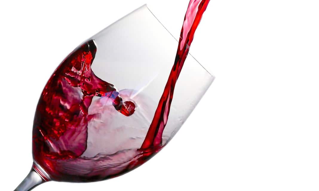 Wino z dzikiej róży – Manufaktura Jedzenia Sezonowy Garnek